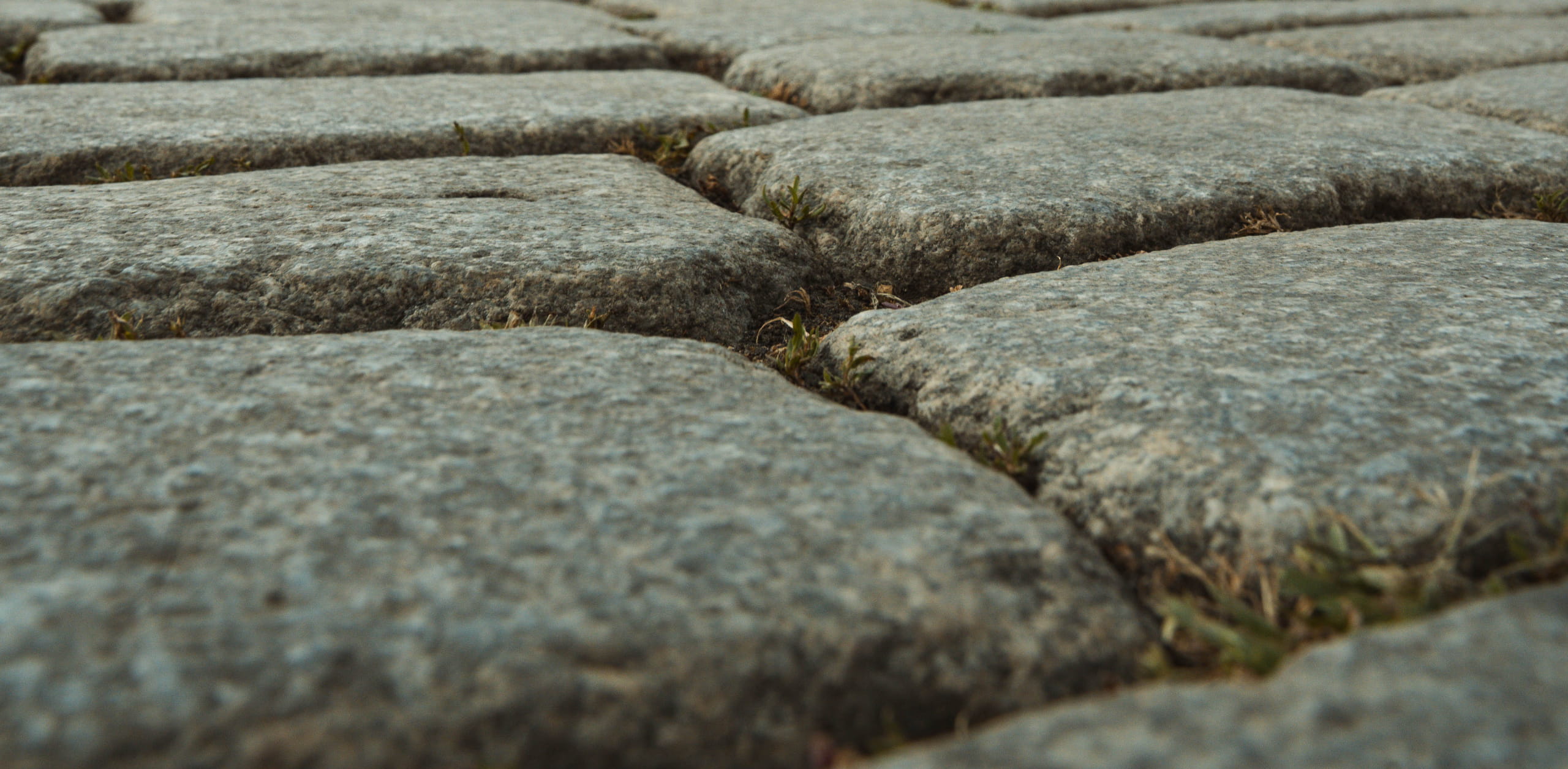 Detailaufnahme des historischen Kopfsteinpflasters mit begrünten Fugen auf dem Coburger Marktplatz – Referenzprojekt von Christian Knoch Tiefbau.