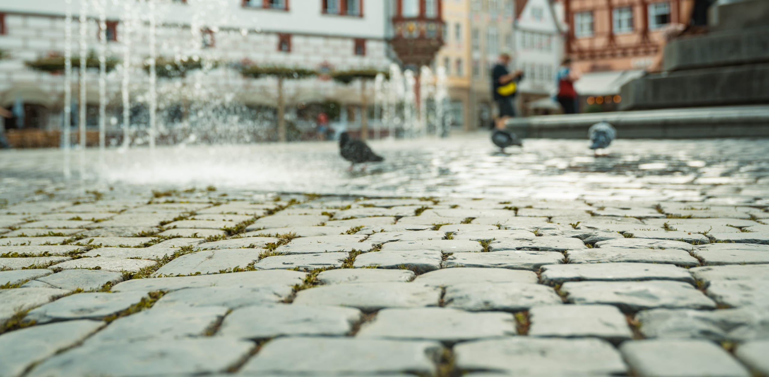 Nahaufnahme des historischen Kopfsteinpflasters mit Wasserspiel und Tauben auf dem Coburger Marktplatz – Referenzprojekt von Christian Knoch Tiefbau.