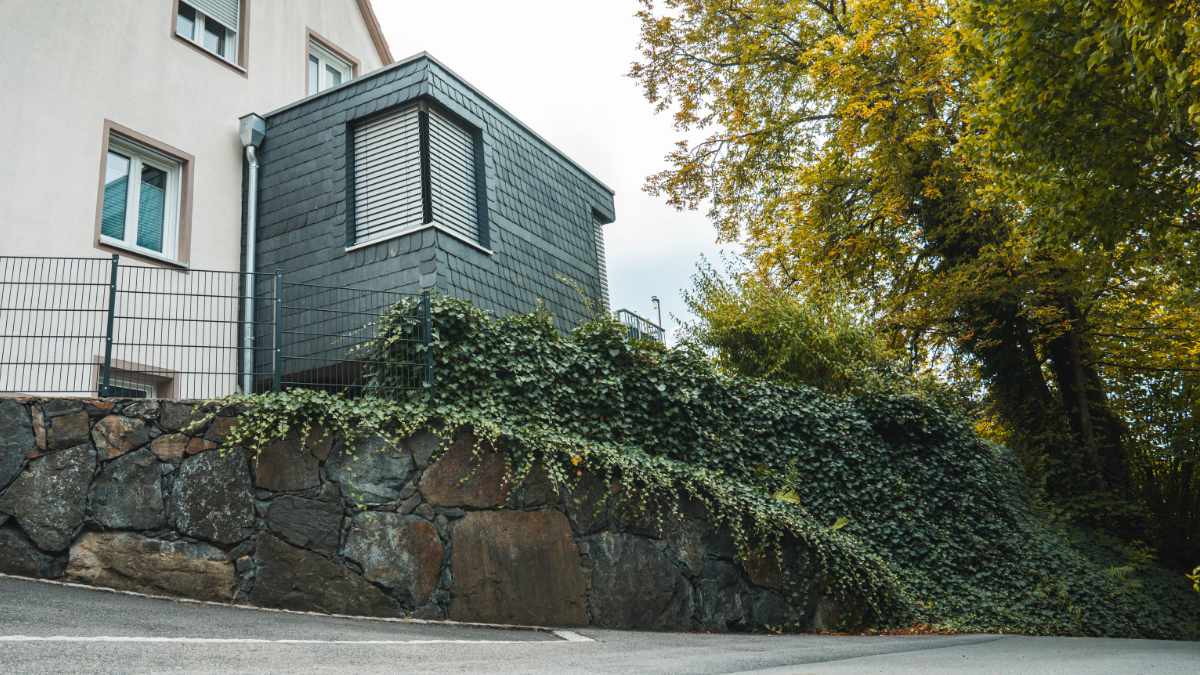 Natursteinmauer aus dunklen Basaltsteinen mit dichter Efeubepflanzung vor einem Wohnhaus.