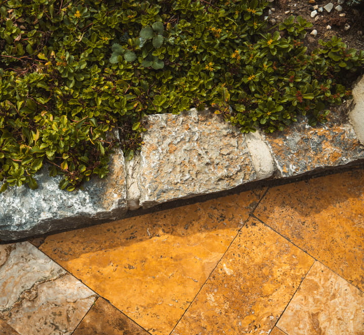 Detailansicht einer gepflasterten Terrasse mit Naturstein-Einfassung und angrenzender Bepflanzung.