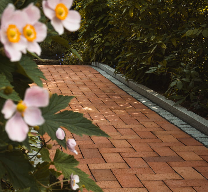 Klinkergepflasterter Gartenweg mit grauer Randeinfassung und blühenden Pflanzen.