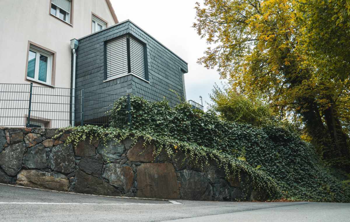 Natursteinmauer aus dunklen Basaltsteinen mit dichter Efeubepflanzung vor einem Wohnhaus.
