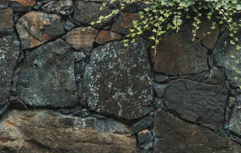 Nahaufnahme einer Natursteinmauer aus dunklen Basaltsteinen mit überhängender Bepflanzung